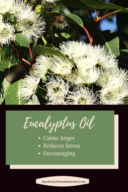 Eucalyptus helps promote deep breathing allowing you to move into a more tranquil state of prayer and meditation.